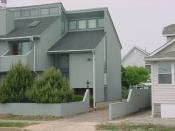 dema_b03.jpg
